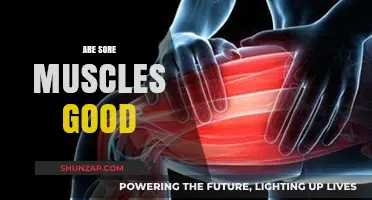 Are Sore Muscles Good? Understanding Post-Workout Pain and Recovery