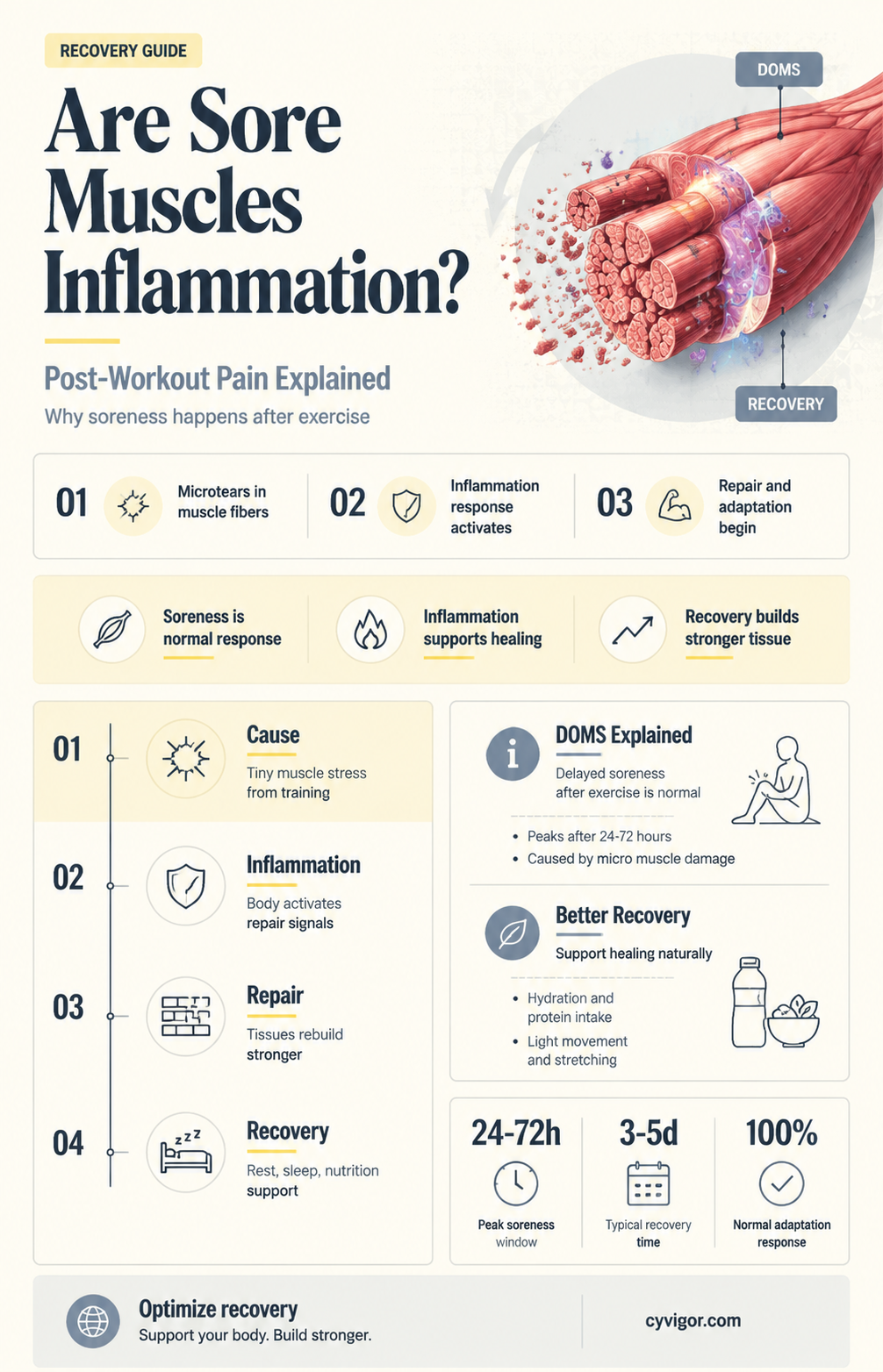 are sore muscles inflammation