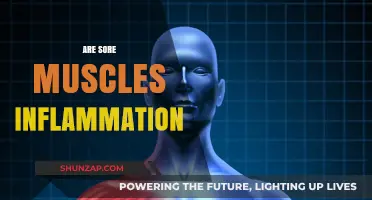 Are Sore Muscles Inflammation? Unraveling Post-Workout Pain and Recovery