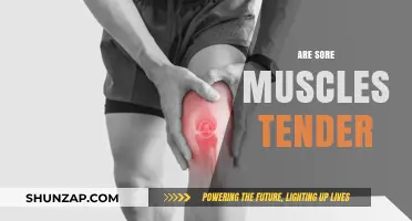 Are Sore Muscles Tender? Understanding Post-Workout Muscle Sensitivity