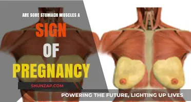 Sore Stomach Muscles and Pregnancy: Understanding Early Body Changes
