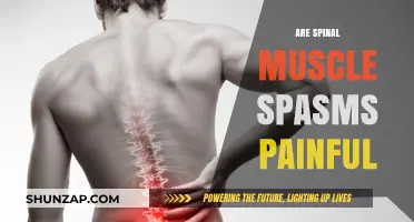 Understanding the Painful Reality of Spinal Muscle Spasms