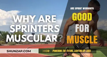Sprint Workouts: Effective for Muscle Growth or Just Cardio?
