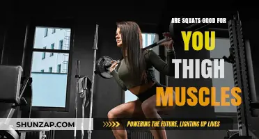 Squats: The Ultimate Thigh Muscle Builder or Just a Myth?