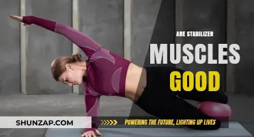 Stabilizer Muscles: Essential for Strength, Balance, and Injury Prevention?