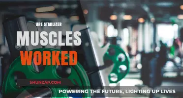 Do Stabilizer Muscles Get Worked in Compound Exercises?