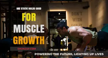 Static Holds for Muscle Growth: Effective or Overrated?