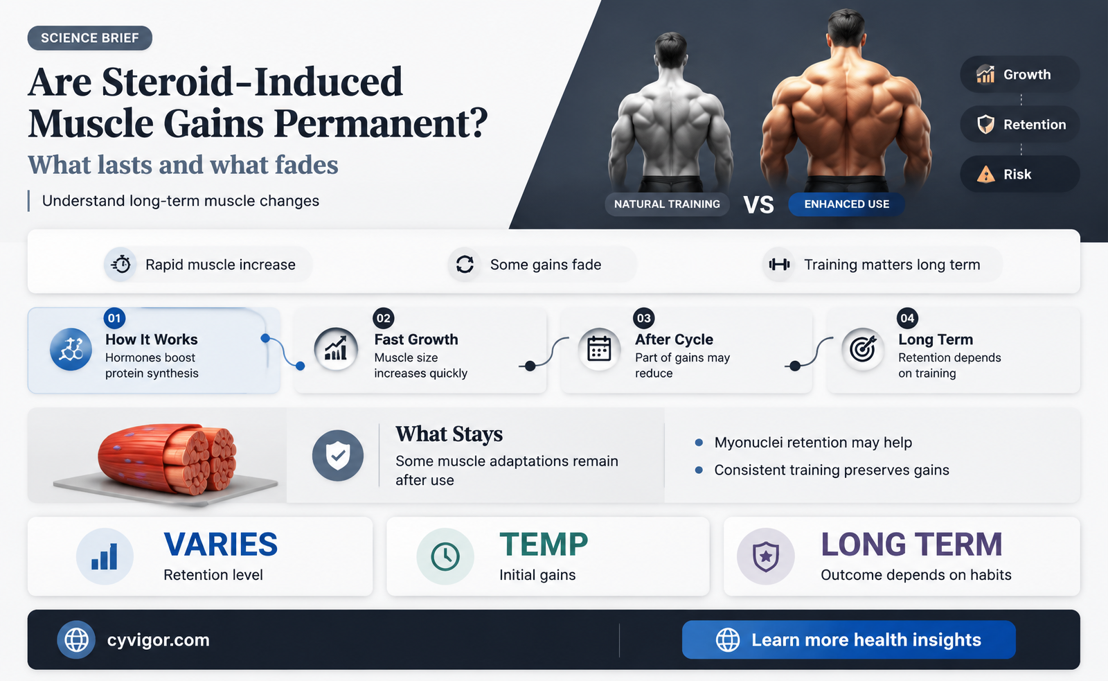 are steroid muscle gains permanent