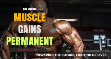 Are Steroid-Induced Muscle Gains Permanent? Facts and Long-Term Effects