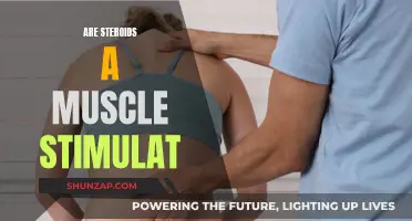 Steroids: Muscle Stimulant or Dangerous Deception?