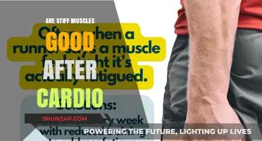 Stiff Muscles After Cardio: Good or Bad for Recovery?