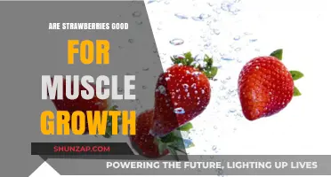 Strawberries and Muscle Growth: Unlocking the Nutritional Benefits for Fitness