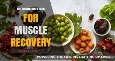 Strawberries and Muscle Recovery: Unlocking Nature's Post-Workout Benefits