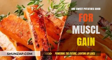Sweet Potatoes for Muscle Gain: Nutrition Benefits and Tips