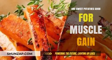 Sweet Potatoes and Muscle Gain: Fueling Your Fitness Goals Naturally