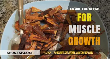 Sweet Potatoes and Muscle Growth: Unlocking Nutritional Benefits for Strength