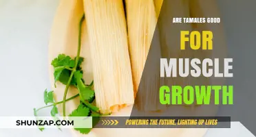 Tamales for Muscle Growth: Nutritional Benefits and Fitness Impact