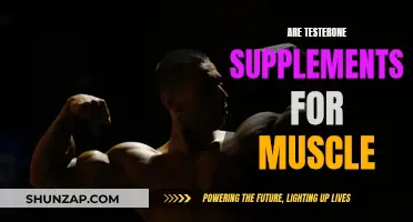 Testosterone Supplements: Muscle Growth or Marketing Hype?
