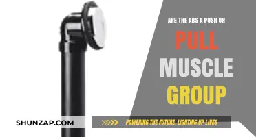 Are Abs Push or Pull? Understanding Core Muscle Functionality