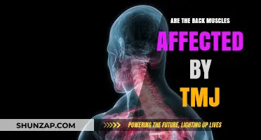 Exploring the Connection: TMJ's Impact on Back Muscles Revealed