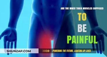 Inner Thigh Muscle Pain: Normal or Cause for Concern?