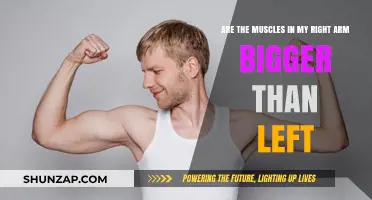 Right Arm vs. Left: Uncovering Muscle Size Asymmetry Causes