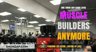 Legal Muscle Builders: Are Safe and Effective Options Still Available?