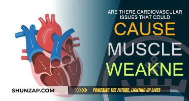Heart Health: Muscle Weakness and Cardiovascular Issues