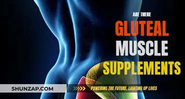 Gluteal Muscle Supplements: Do They Exist?