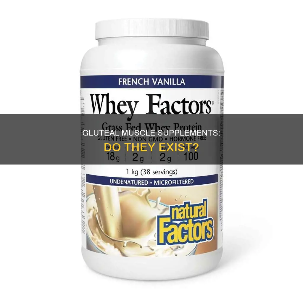 are there gluteal muscle supplements