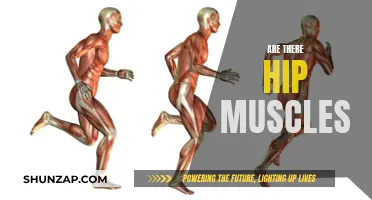 Hip Muscles: Do They Exist and What Are They?