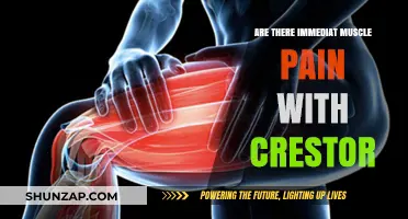 Crestor Side Effects: Immediate Muscle Pain Concerns Explained