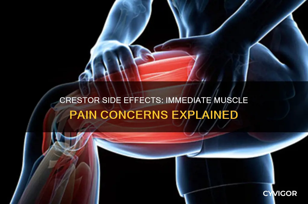 are there immediat muscle pain with crestor