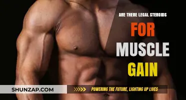 Legal Steroids for Muscle Gain: Fact or Fiction?