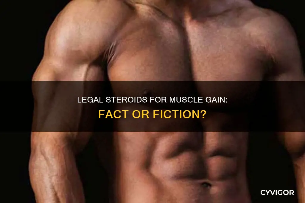 are there legal steroids for muscle gain
