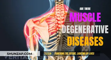 Muscle Degenerative Diseases: Understanding Their Impact and Treatment