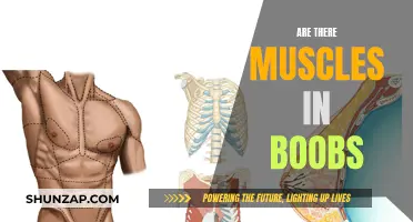 The Truth About Breast Muscles: What's Fact, What's Fiction?