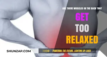 Overly Relaxed Back Muscles: Causes, Effects, and Remedies Explained