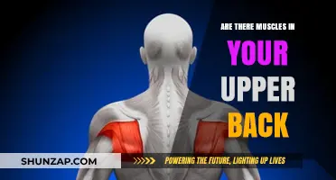 Unveiling the Hidden Muscles of Your Upper Back: A Comprehensive Guide