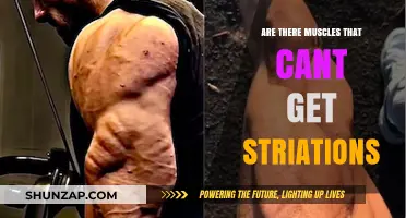 Exploring the Limits: Can All Muscles Develop Striations?