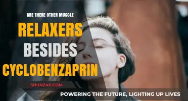 Exploring Muscle Relaxers: Alternatives to Cyclobenzaprine for Pain Relief