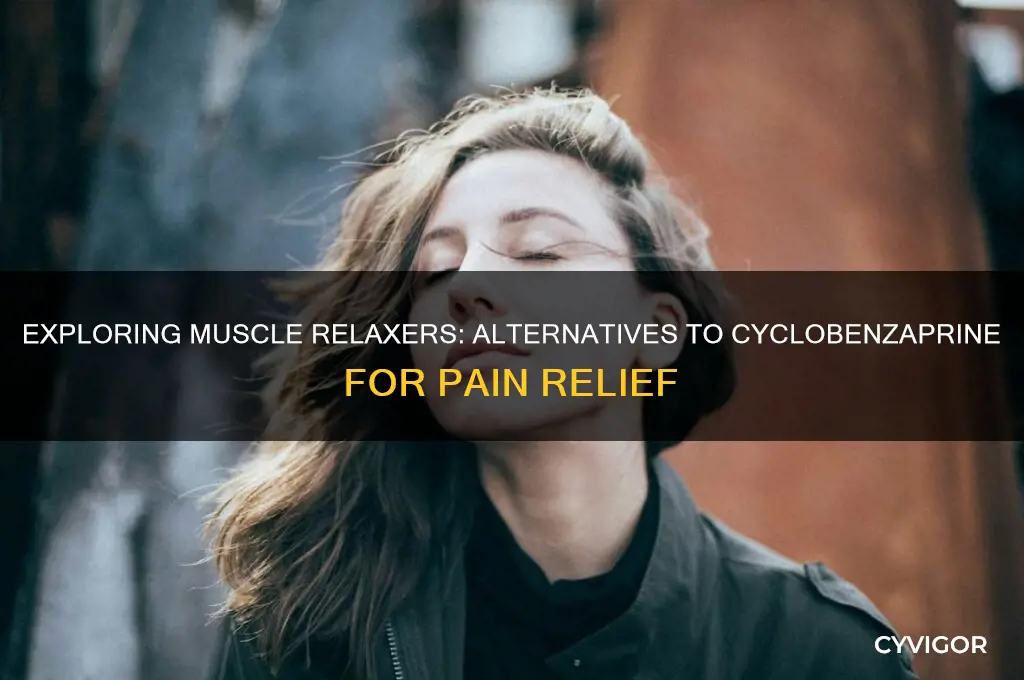 are there other muscle relaxers besides cyclobenzaprine