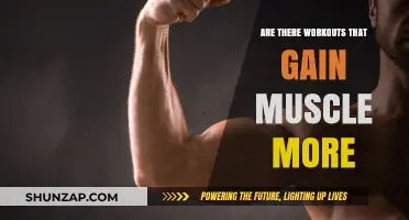 Effective Muscle-Building Workouts: Strategies for Faster, Stronger Gains
