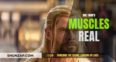 The Truth About Thor's Muscular Physique: Real or Reel?