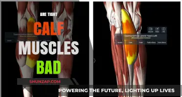 The Impact of Tight Calf Muscles: Myths and Facts Unveiled