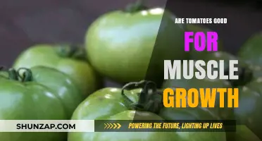 Tomatoes and Muscle Growth: Unlocking the Nutritional Benefits for Strength
