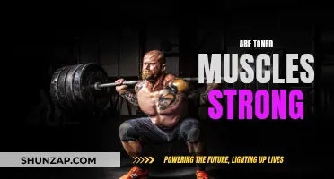 Toned Muscles: Strong or Just for Show?