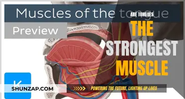 Tongues: Strongest Muscle in the Human Body?