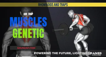 Trap Muscles: Are They Genetic or Earned?