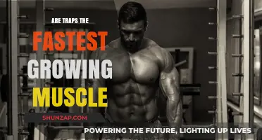 Are Traps the Fastest Growing Muscle? Unveiling the Truth